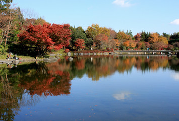 日本庭園