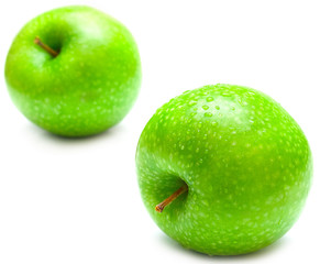 wet green apples