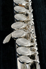 Vertical view of a flute © Jim Mills