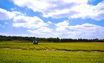 bright green agriculture farmland