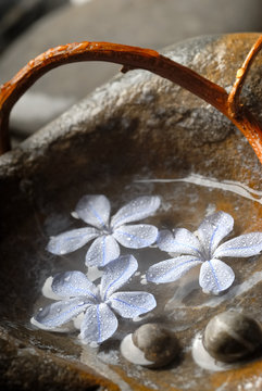 fleurs zen