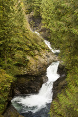 Fototapeta na wymiar Waterfall in Washington State Woods