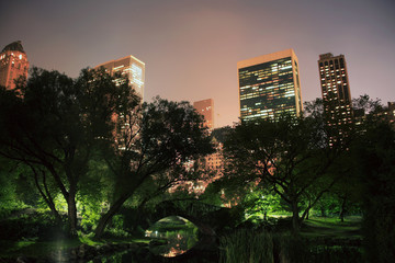 Central Park in NYC
