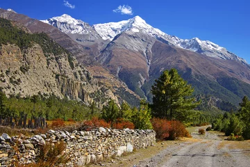Foto op Plexiglas Picturesque nepalese landscape with a rural road © Marina Ignatova