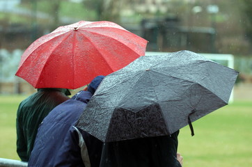 Un ptit coin de parapluie