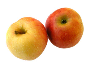 Äpfel auf weißem Hintergrund