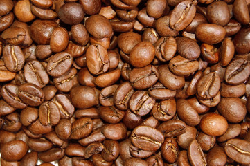 coffee bean close up