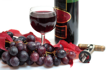 Wein