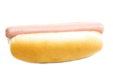hot dog