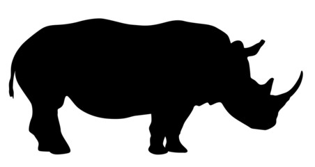 Rinoceronte - 10673842