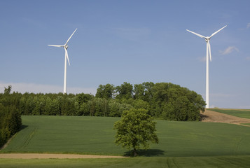 Windmühlen auf einem Hügel