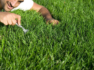 Lawn