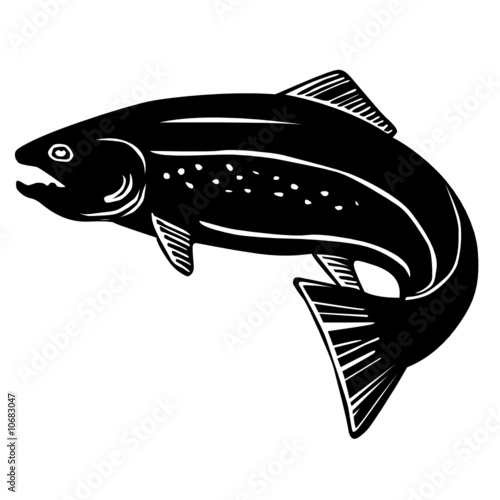 Download "trout fish vector" Stock image and royalty-free vector ...