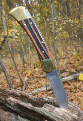 folding hunting knife