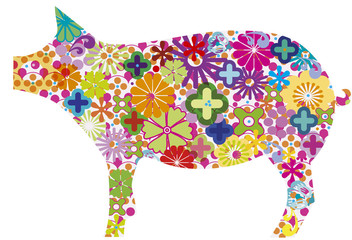 vector_pig