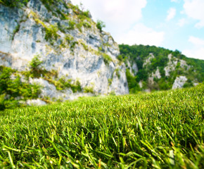 summer field and mountains