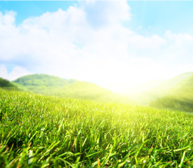 summer field and mountains