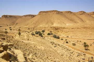 mountainous desert landscape with palms, Tunis