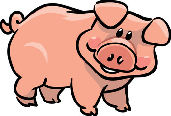 vector cute pig illustration