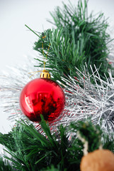 Navidad