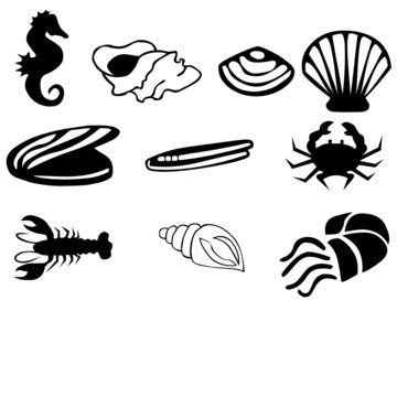 Sea horses, shell and lobster vector