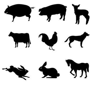 domestic animal silhouettes vector