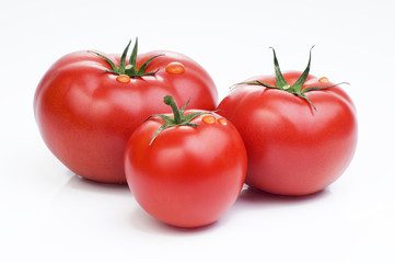 fresh tomato