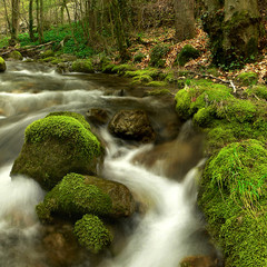 ruisseau