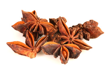 Detailed view on chinese anise