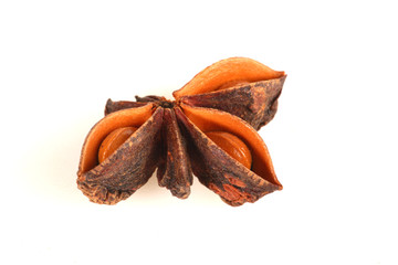 Detailed view on star anise