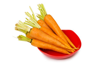 Fresh carrots isolated on the white background