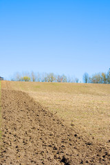 Spring ploughed field