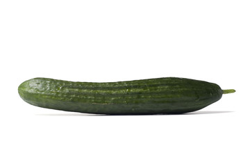 cucumber isolated