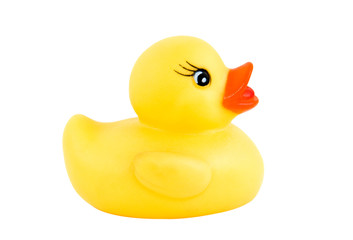 duck new 1
