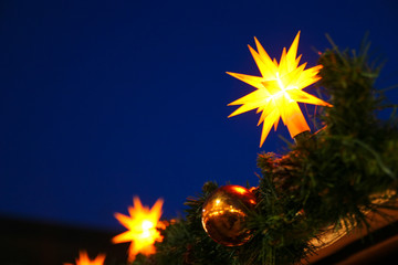 Weihnachtsstern