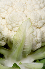Cauliflower detail