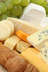 board of cheese