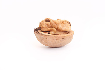 Walnut