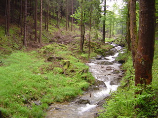 Frauenbachtal