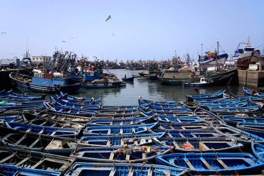 Port de pêche d'Essaouira au Maroc