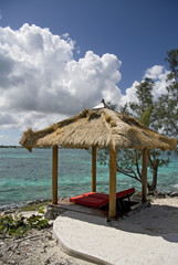 Tropical beach hut on shoreline