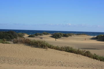 Dünen Maspalomas_2