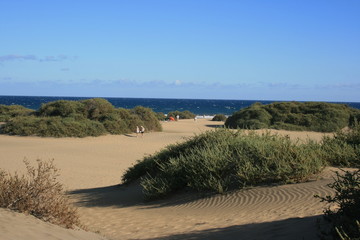 Dünen Maspalomas_3