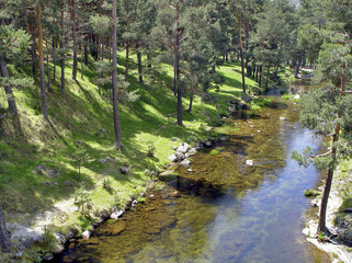 Naklejka premium Rio