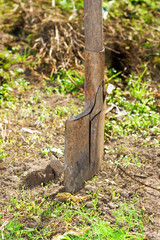 Shovel thrust in the earth
