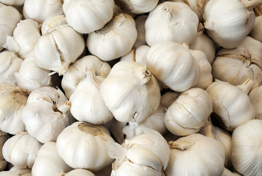 Nice bulbs of garlic