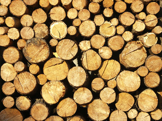 A background of wood stock