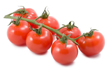 tomatoes isolated