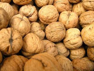 Walnüsse