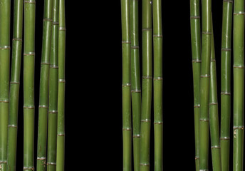 hard bamboo